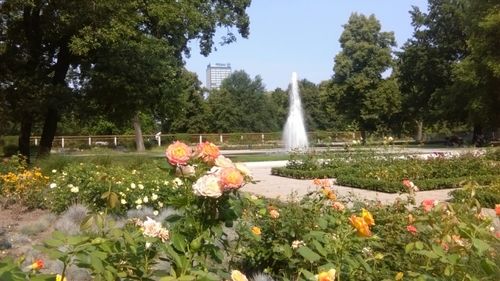 Fountain in park