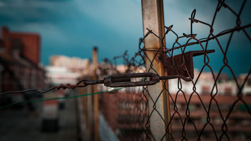 Close-up of barbed wire fence