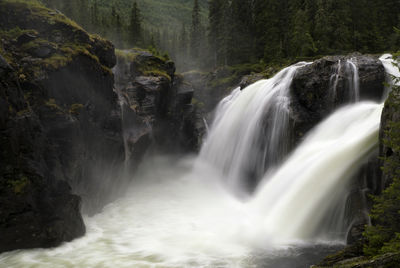 Scenic view of waterfall in forest