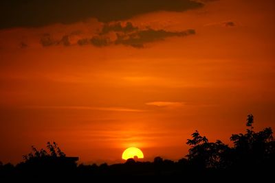 Scenic view of silhouette trees against sky during sunset