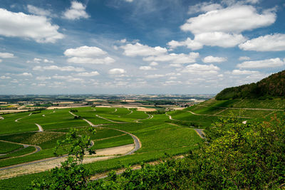 Scenic view of agricultural field against sky