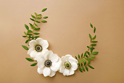 Directly above shot of white anemone flowers wreath on brown background