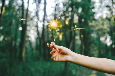 Cropped hand holding sparkler against trees