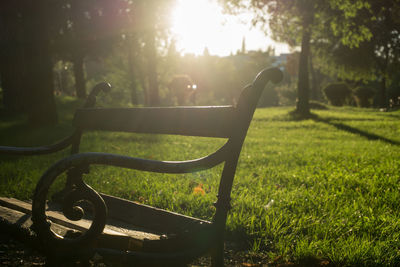 Empty bench in park