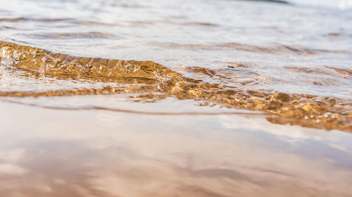 Small wave enters the beach during sunset which lights up the water with golden yellow color