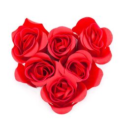 Close-up of red rose against white background