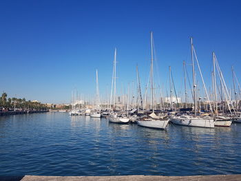 Sailboats in marina