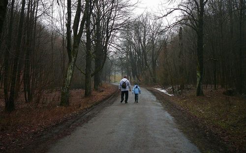 Rear view of people walking on footpath in forest