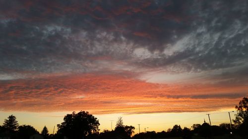 Silhouette trees against dramatic sky during sunset