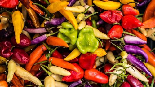 Full frame shot of multi colored vegetables