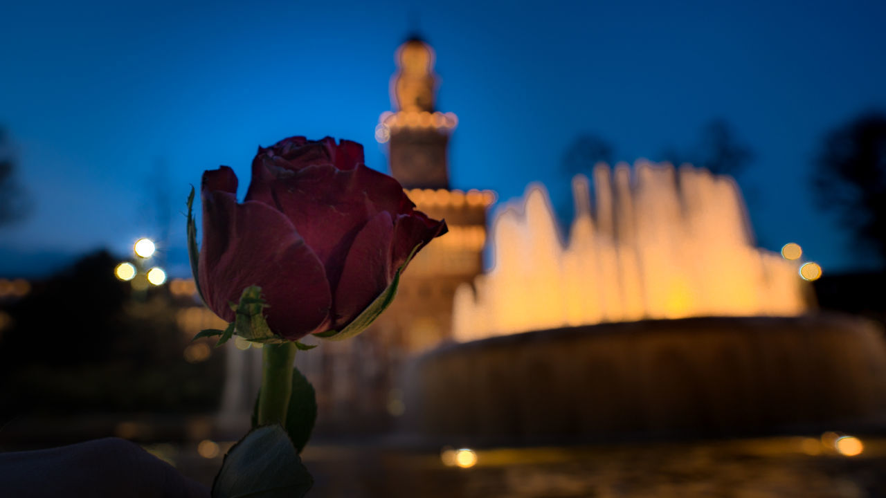 CLOSE-UP OF HAND HOLDING ILLUMINATED FLOWER AGAINST SKY