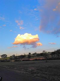 Scenic view of field against sky at sunset