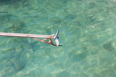 High angle view of swimming in sea