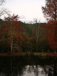 Scenic view of lake in forest against sky