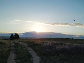 Scenic view of field against sky during sunset