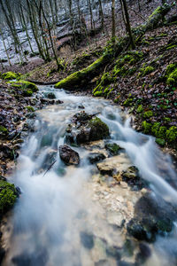 Stream flowing through rocks in forest