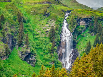 Scenic view of waterfall