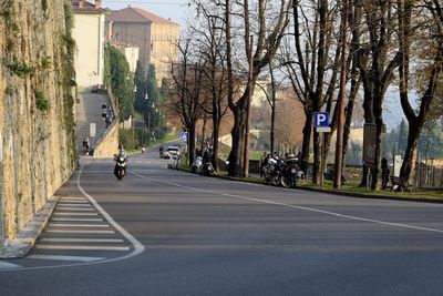 Road amidst trees in city