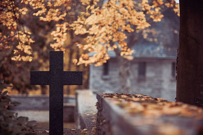 Close-up of cemetery