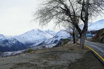 Bare trees on mountain road against sky