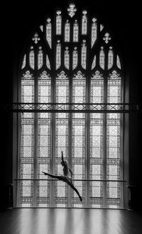 Ballet dancer in front of window