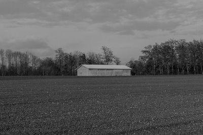 Trees on field against sky