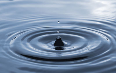 Close-up of water drop