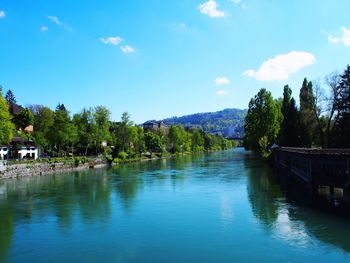 Scenic view of river by trees against blue sky