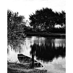 Reflection of trees in water