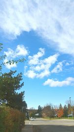 Trees against sky