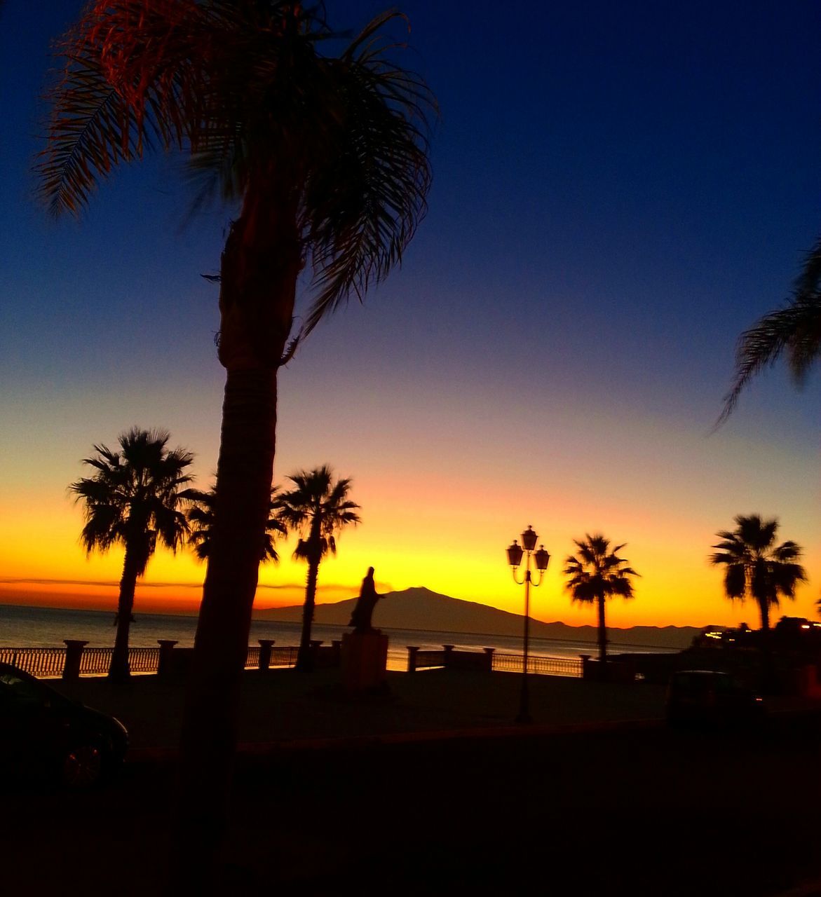 palm tree, sunset, silhouette, sea, tree, tranquil scene, beach, tranquility, scenics, beauty in nature, horizon over water, water, sky, orange color, nature, tree trunk, idyllic, coconut palm tree, shore, clear sky