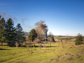 View of trees on field against sky