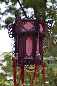 Close-up of lantern against tree