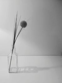 Close-up of vase on table against wall