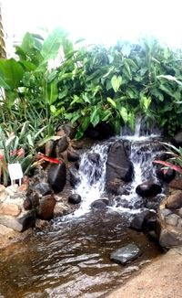 Scenic view of waterfall