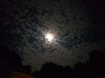 Low angle view of silhouette trees against sky at night