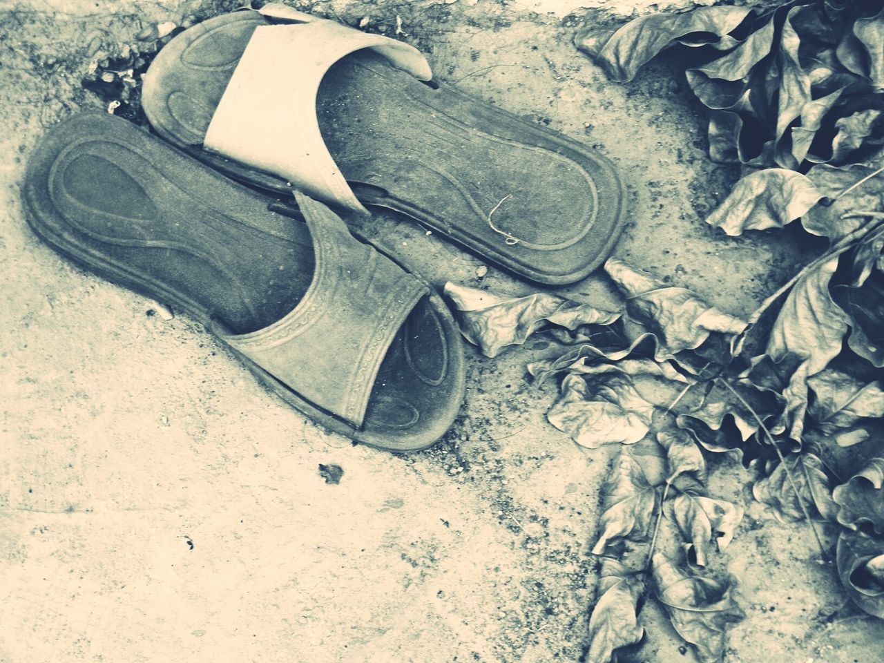 Old slippers