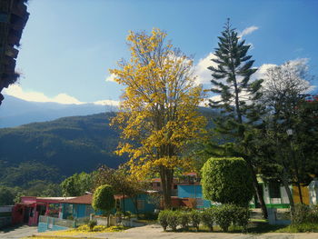 Trees and mountains against sky