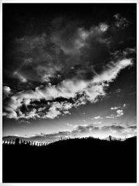 Silhouette trees in forest against sky
