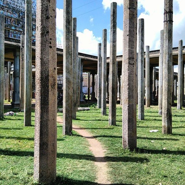 architecture, built structure, building exterior, in a row, sky, grass, architectural column, tree, diminishing perspective, fence, day, the way forward, sunlight, column, shadow, no people, outdoors, growth, field, repetition