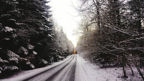 Road amidst trees against clear sky during winter