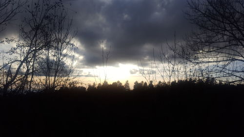 Silhouette trees against sky during sunset