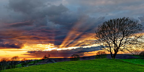 Scenic view of field against sky during sunset