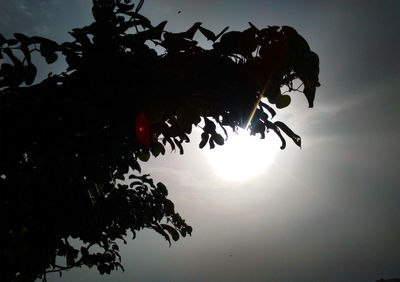 Low angle view of silhouette tree against sky during sunset