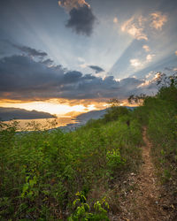 Scenic view of land against sky during sunset