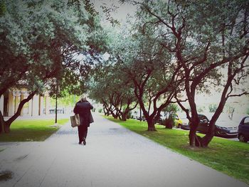 Rear view of woman walking on footpath