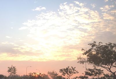 Low angle view of tree against cloudy sky