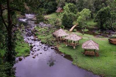 Scenic view of lake in forest