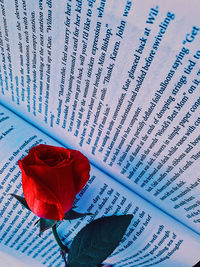 Close-up of red rose on book