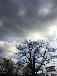 Low angle view of silhouette tree against sky